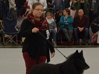 Siegerhunde Groenendael